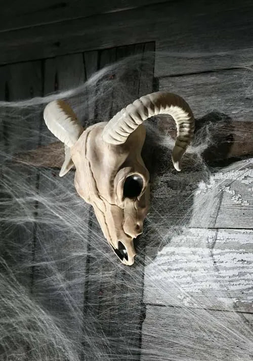 13-Inch Ram Plastic Skull Decoration Main image