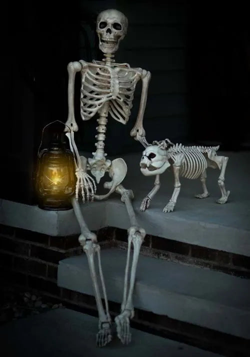 5FT Realistic Poseable Skeleton Prop