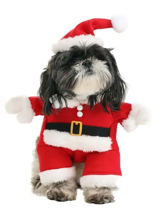 Christmas Santa Pet Costume