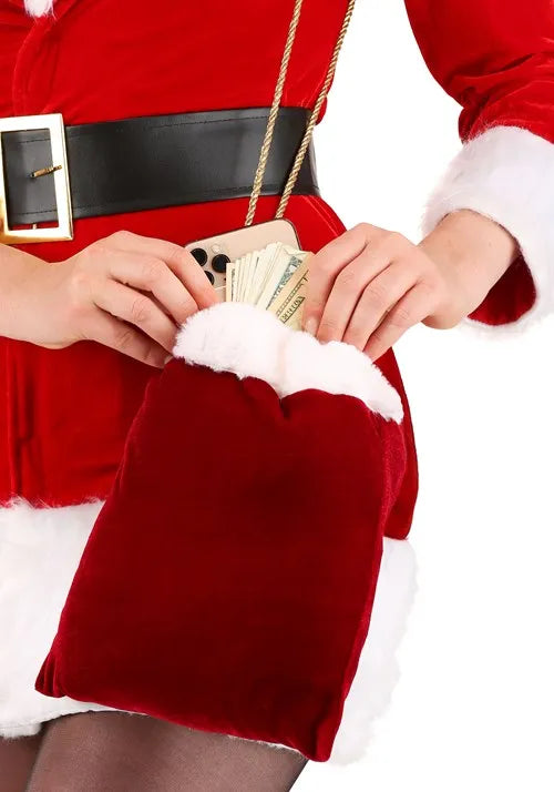 Adult Santa Sack Holiday Purse Main image
