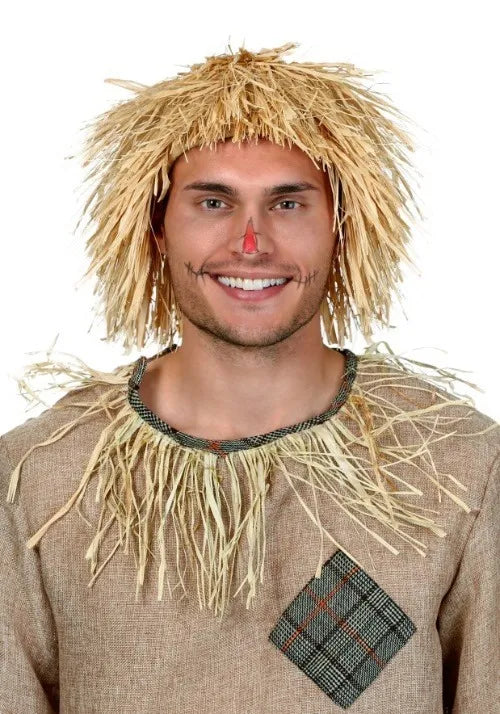 Adult Scarecrow Costume Wig Main image