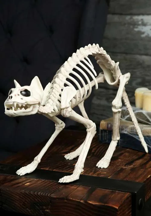 10.5-Inch Skeleton Cat Bones Decoration Main image