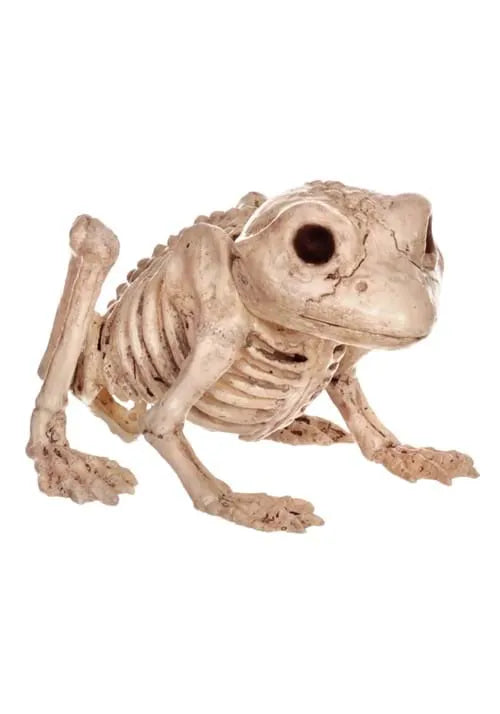 5-Inch Skeleton Frog Decoration