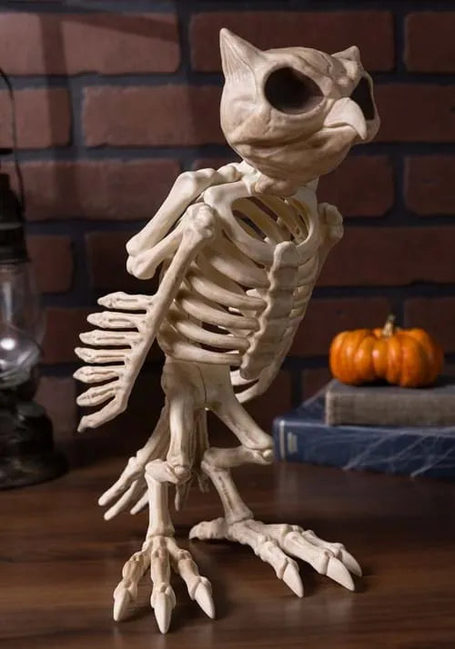 14-Inch Skeleton Owl Bones Decoration