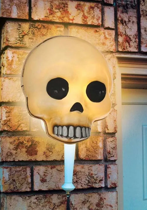 13-Inch Jawless Skull Porch Light Cover or Wall Decoration