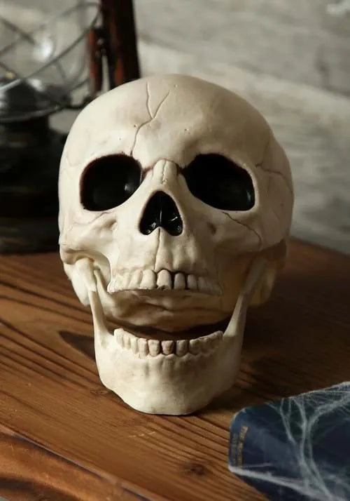 7-Inch Skull with Movable Jaw Prop Decoration Main image