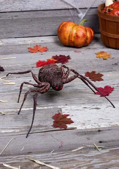 16-Inch Grotesque Spider Decoration
